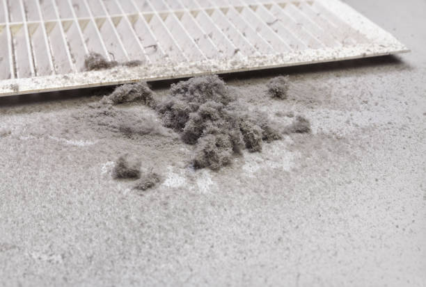 Best Air Duct Cleaning Near Me  in Filer, ID