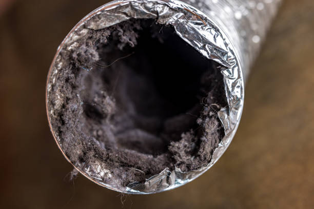 Best Professional Duct Cleaning Services  in Filer, ID